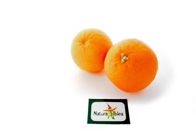Arance navel