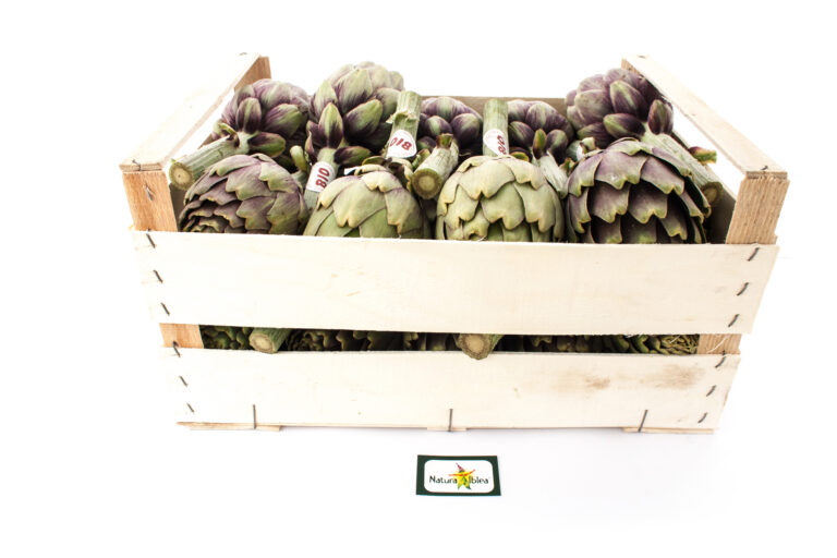 Carciofi violetto 25pz oppure 5 kg