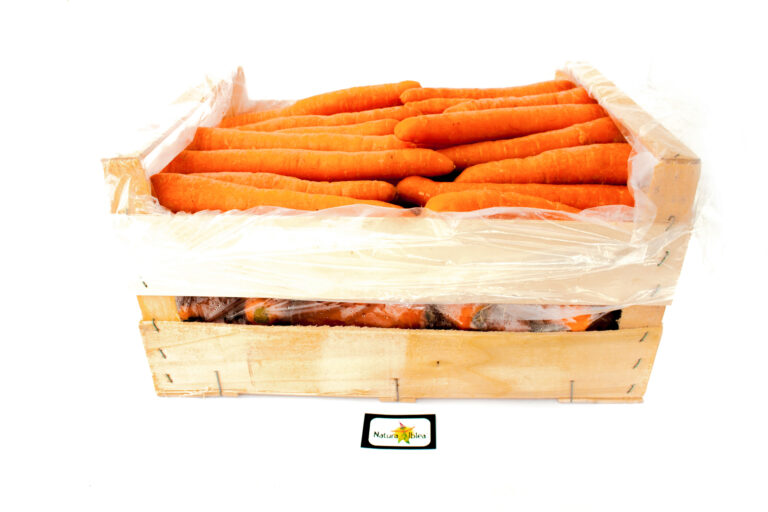 Carota novella 10kg