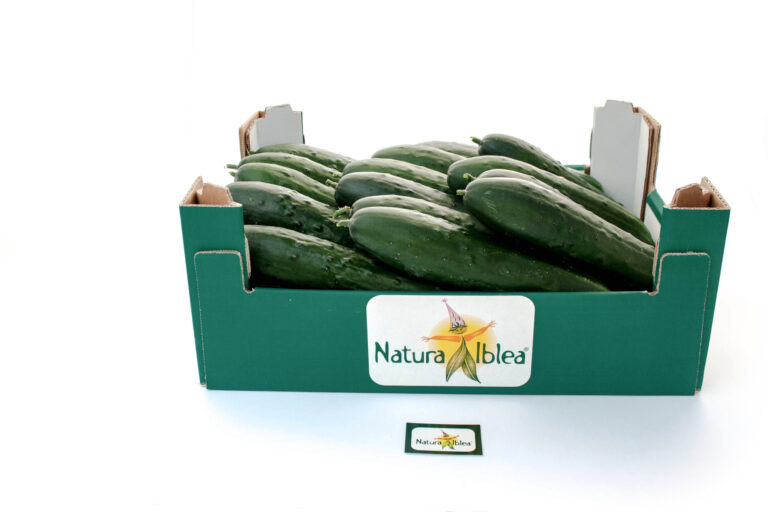 Cetriolo 6kg