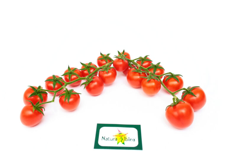 Ciliegino grappolo