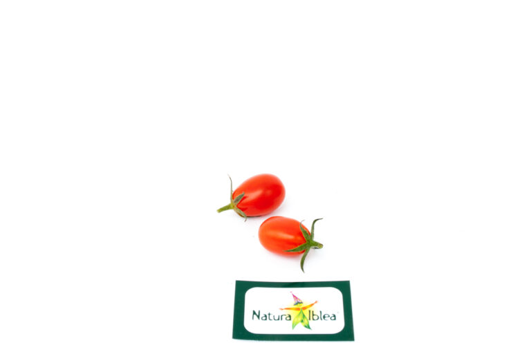 Datterino