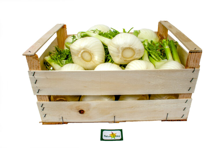 Finocchio cassa legno 7kg-5kg-4kg
