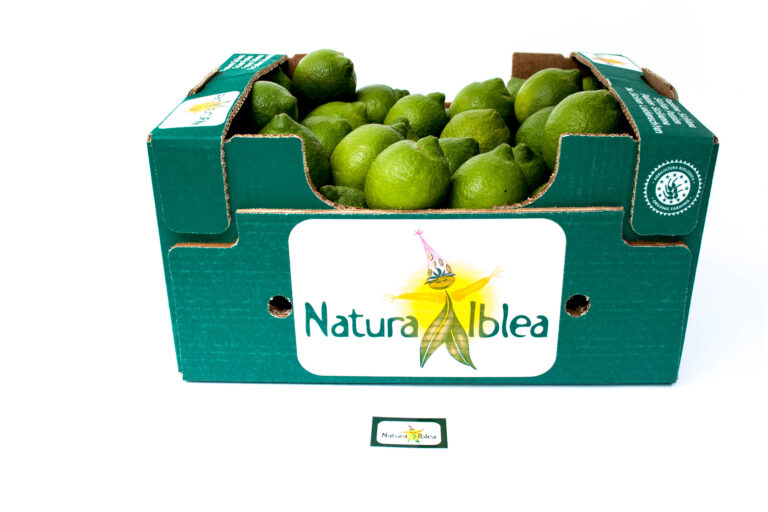 Limoni verdelli 8kg