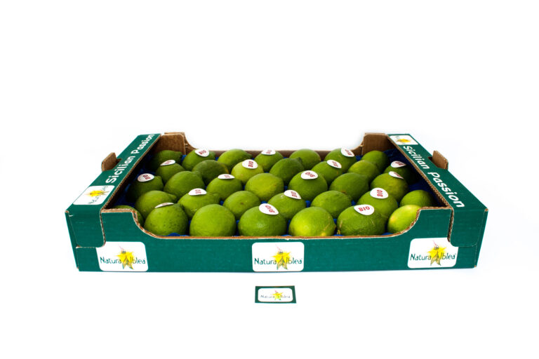 Limoni verdelli bollinati padellone 39 pz