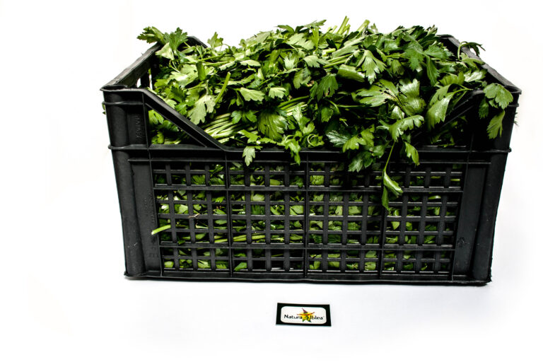 Prezzemolo 3kg
