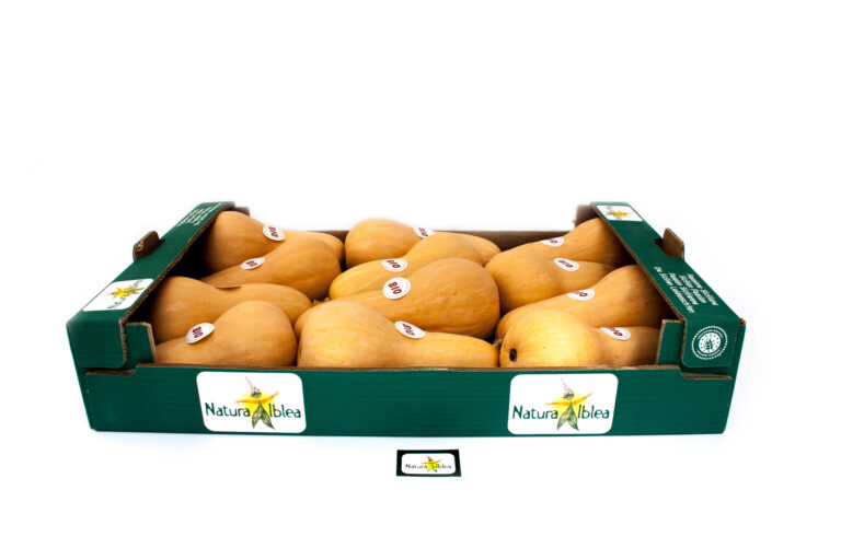 Zucca 8-10kg