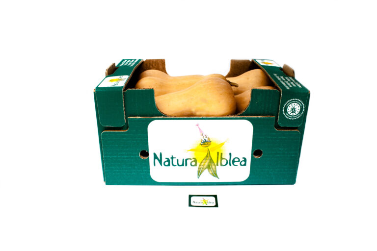 Zucca 8kg