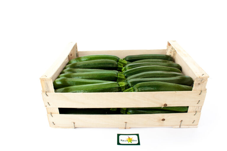 Zucchina 6kg cal.14-18 cassa legno