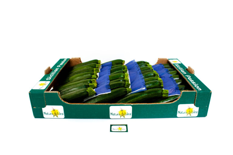 Zucchina padellone impaccato cal 14-21