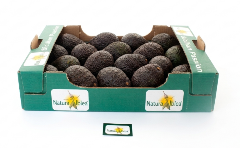 avocado