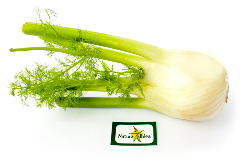 finochiella fino 150gr